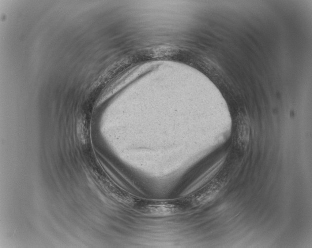 X0000053150316200508012316