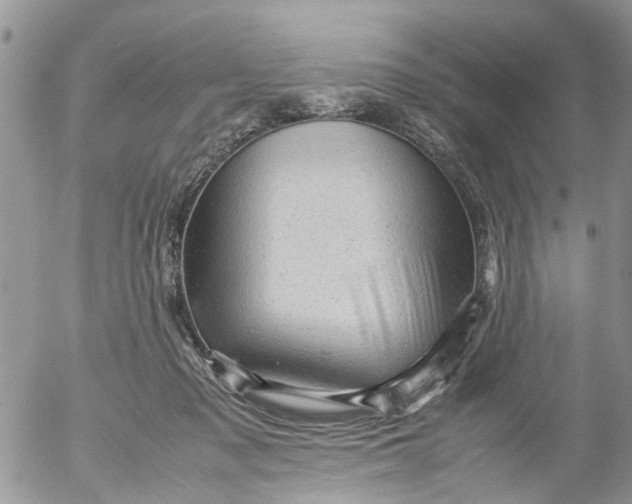 X0000053150317200508012316