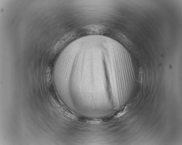 X0000053150318200508012316