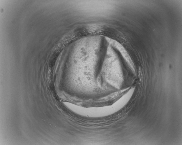 X0000053150319200508012316