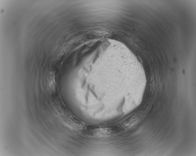 X0000053150320200508012316