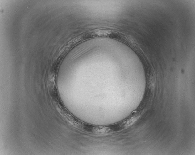 X0000053150321200508012316