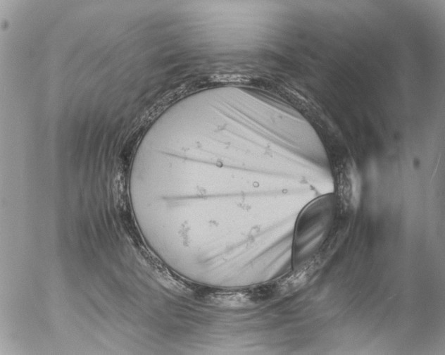 X0000053150322200508012316