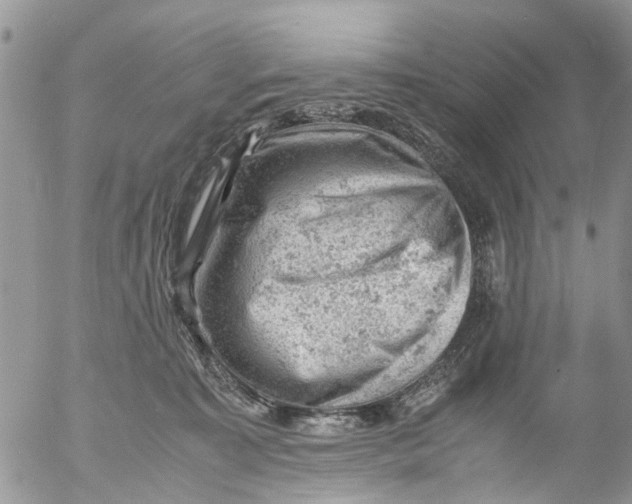 X0000053150323200508012316