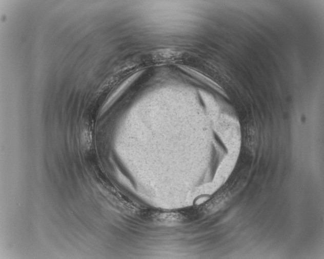 X0000053150324200508012316