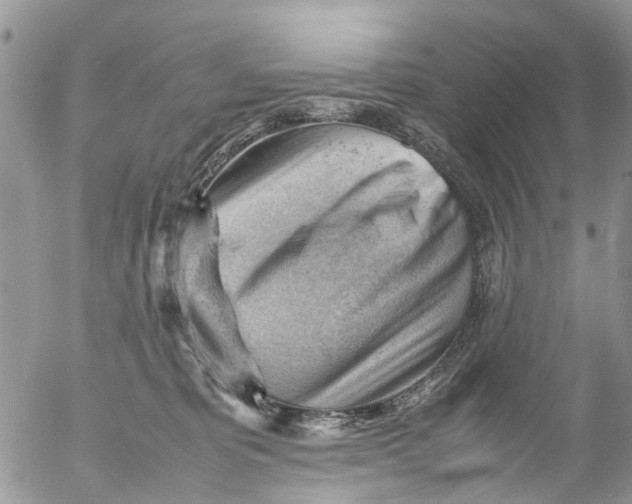 X0000053150325200508012316