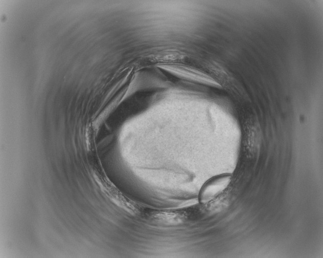 X0000053150326200508012316