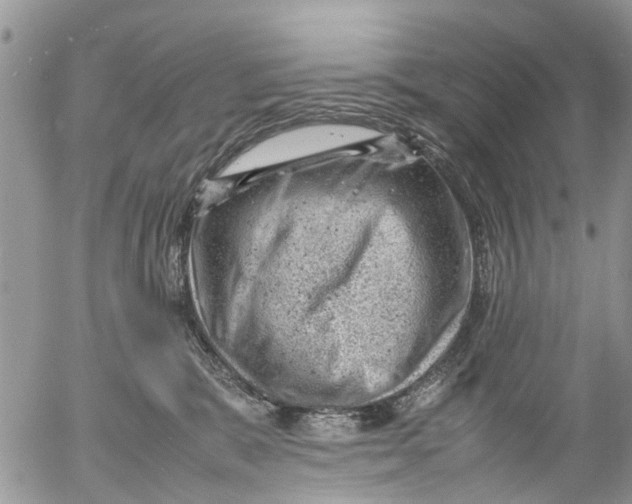 X0000053150327200508012316