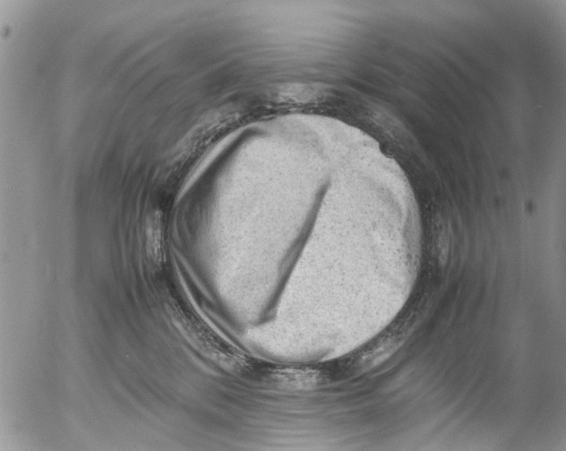 X0000053150328200508012316