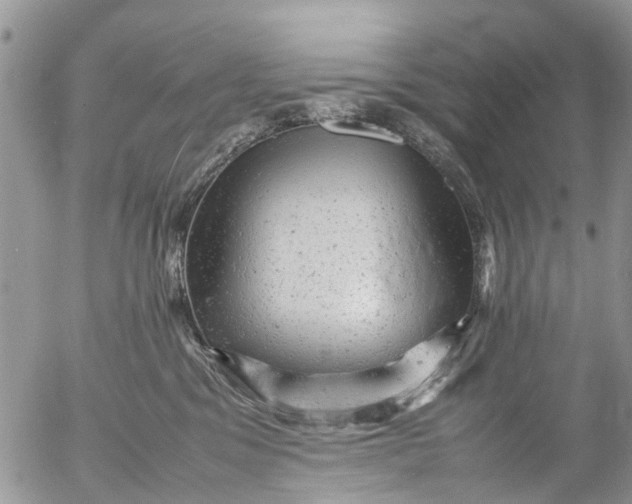 X0000053150329200508012316