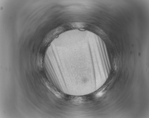 X0000053150330200508012316