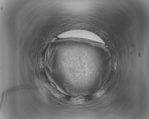 X0000053150331200508012316