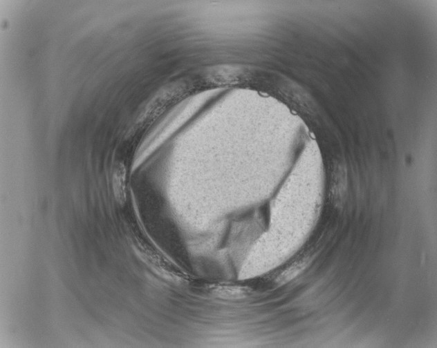 X0000053150332200508012316