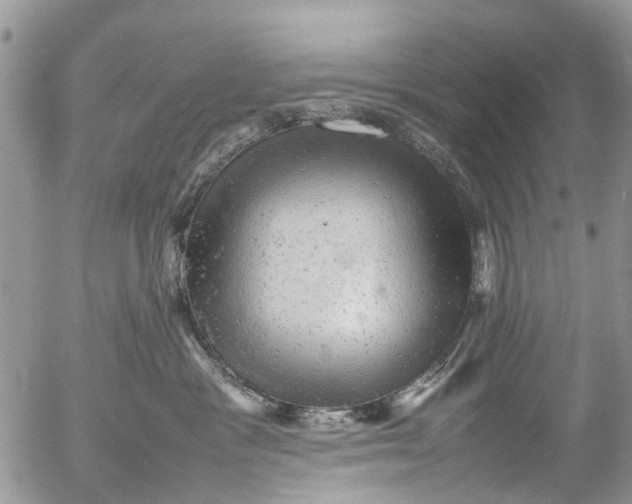 X0000053150333200508012316