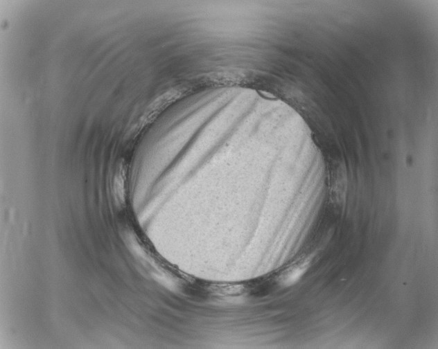 X0000053150334200508012316