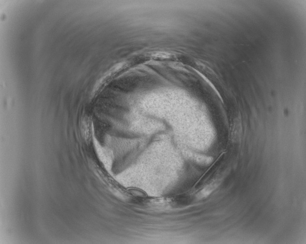 X0000053150335200508012316