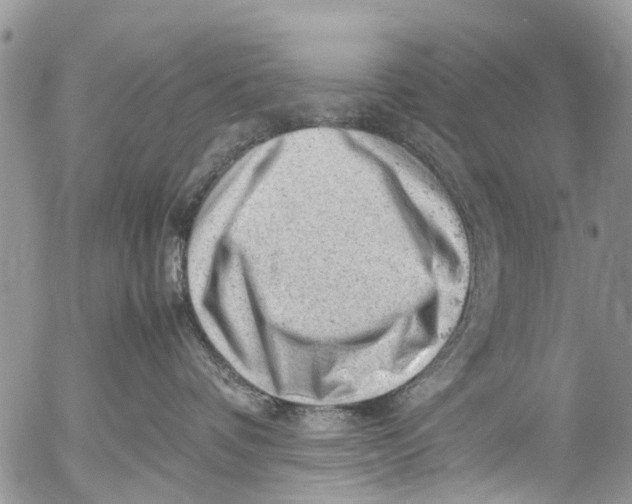 X0000053150336200508012316