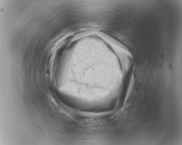 X0000053150338200508012315