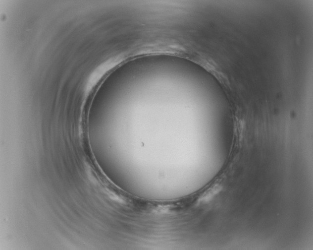 X0000053150340200508012315