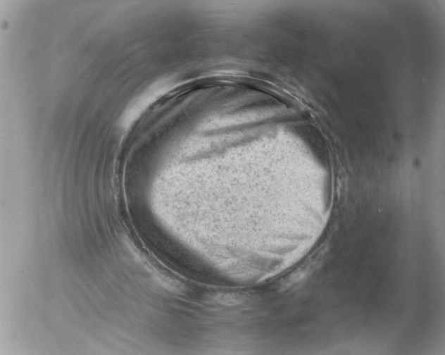 X0000053150341200508012315