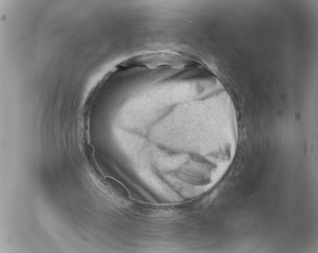 X0000053150342200508012315