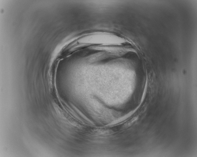 X0000053150343200508012315