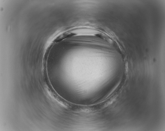 X0000053150344200508012315