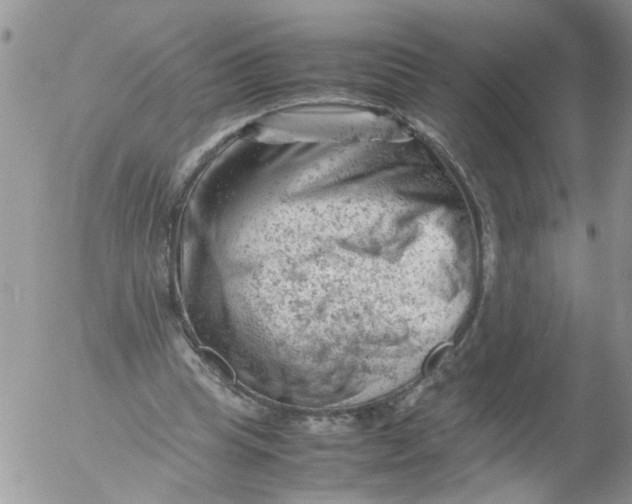 X0000053150345200508012315