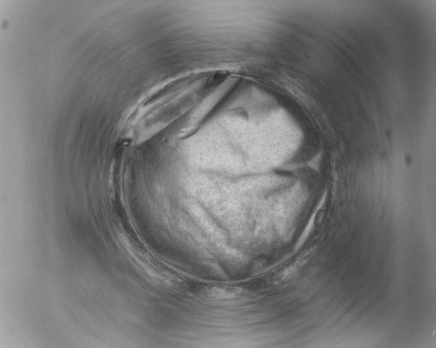 X0000053150346200508012315