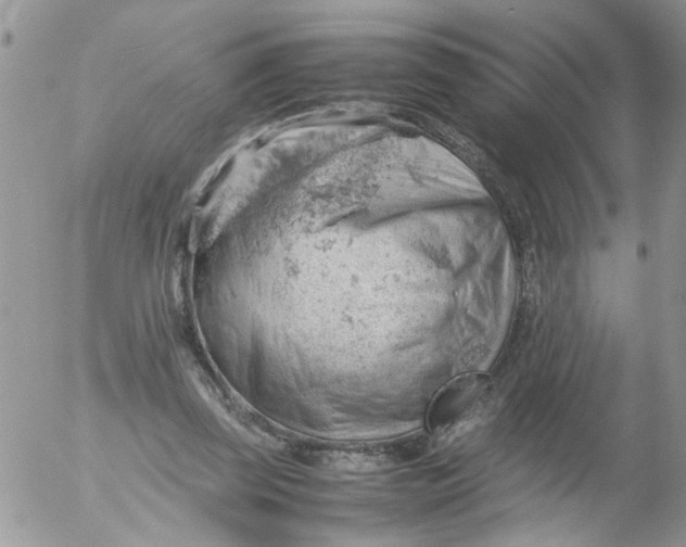 X0000053150347200508012315