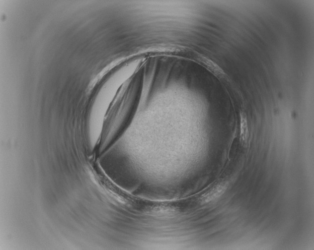 X0000053150348200508012315