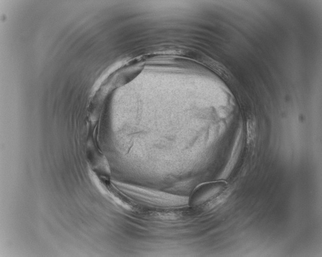 X0000053150349200508012315