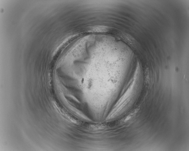 X0000053150351200508012315