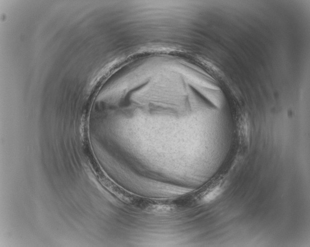 X0000053150352200508012316