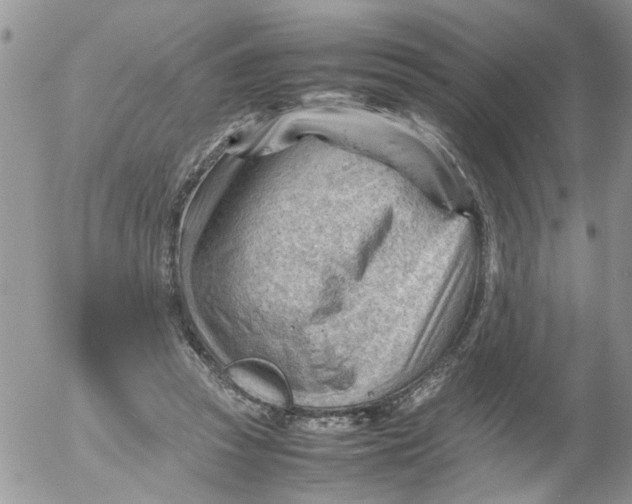 X0000053150353200508012316