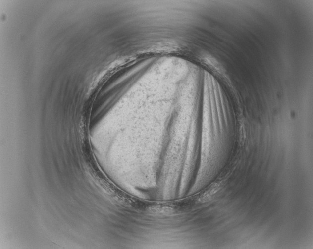 X0000053150354200508012316