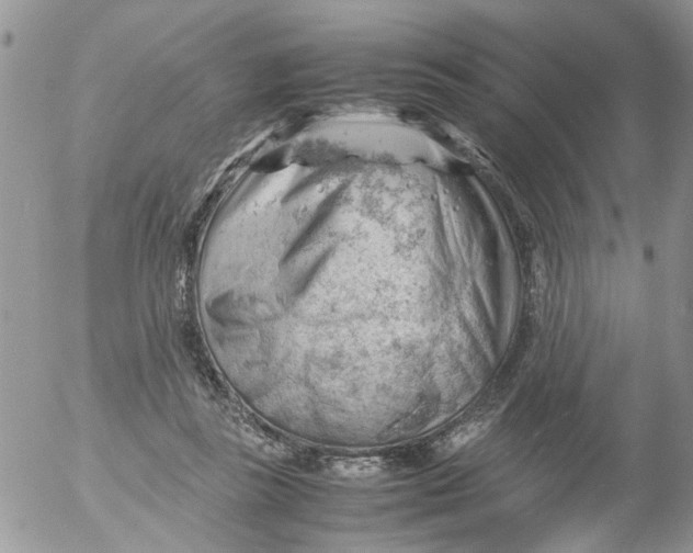 X0000053150355200508012316