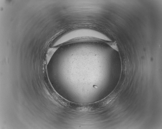 X0000053150356200508012316