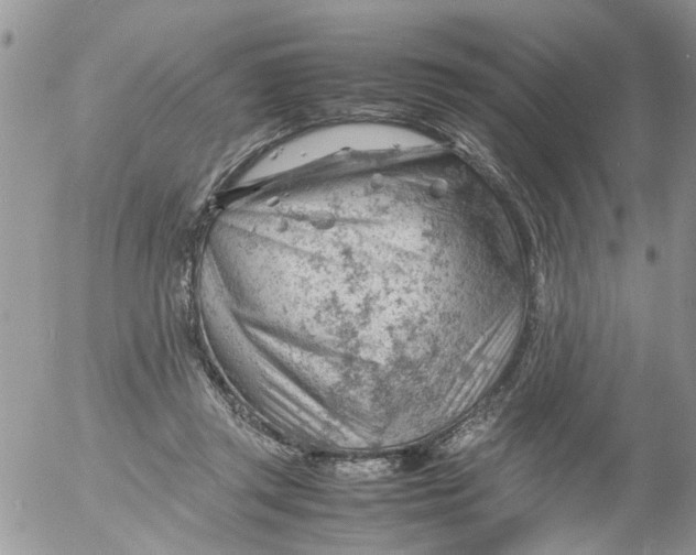 X0000053150357200508012316