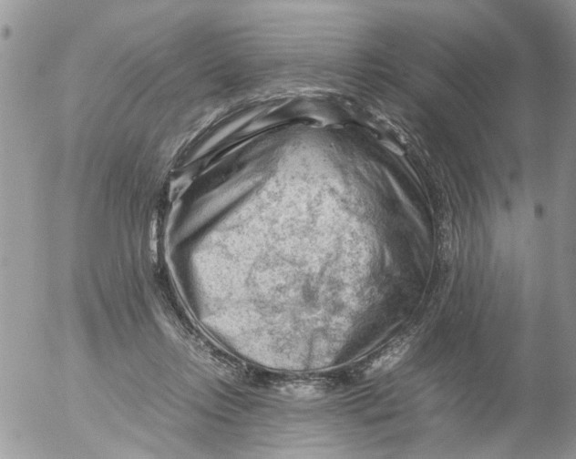 X0000053150358200508012316