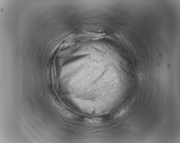 X0000053150359200508012316