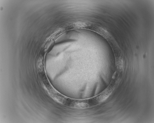 X0000053150360200508012316