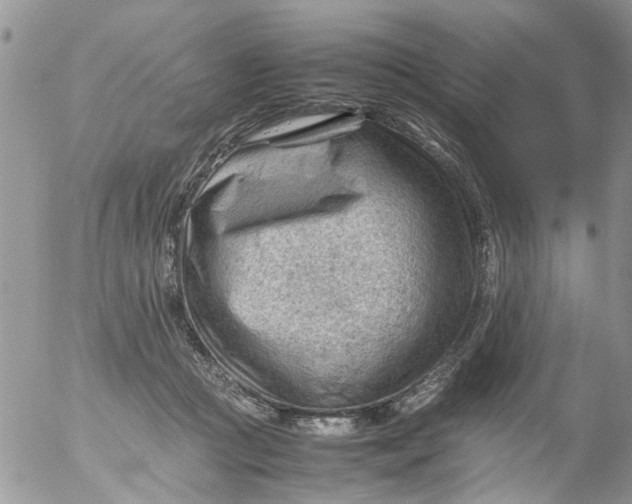 X0000053150361200508012316