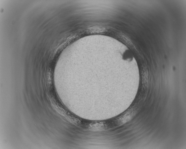 X0000053150362200508012316