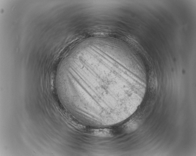 X0000053150363200508012316