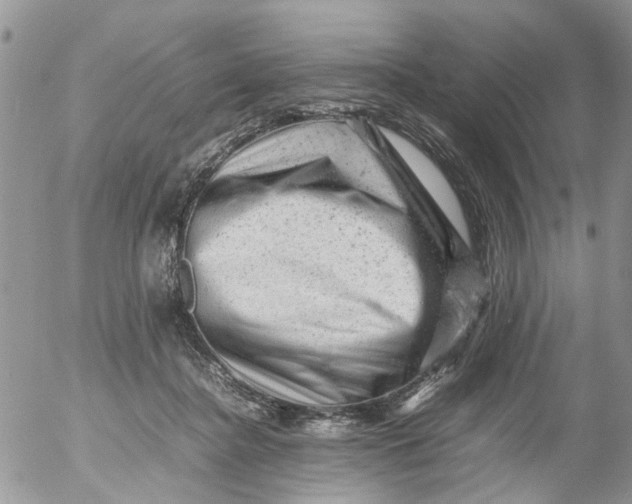 X0000053150364200508012316