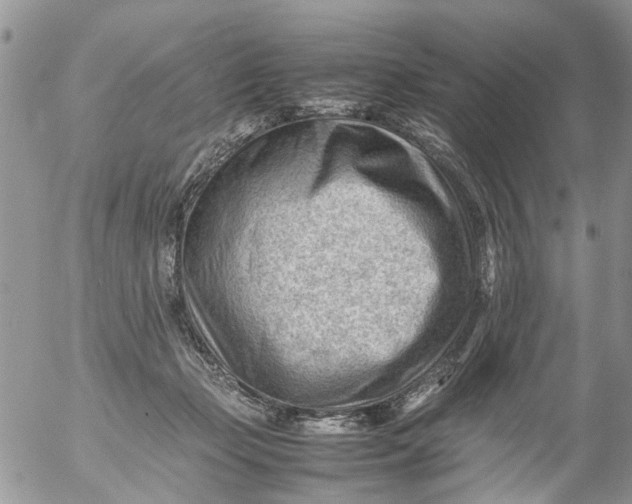 X0000053150365200508012316