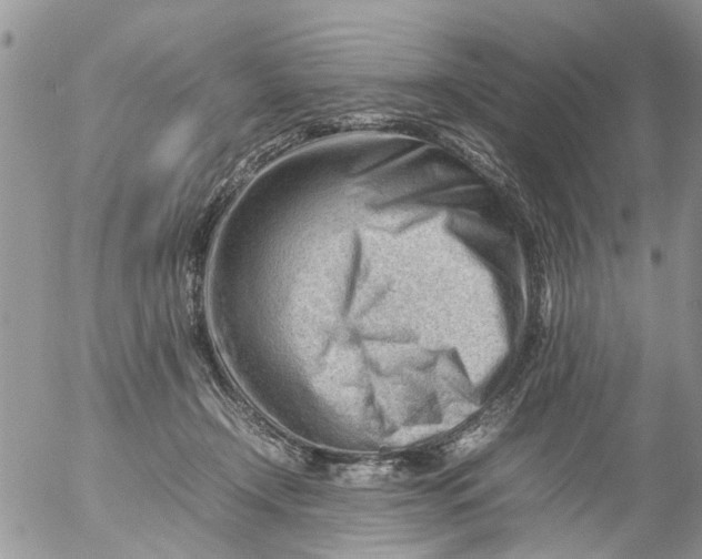 X0000053150366200508012316