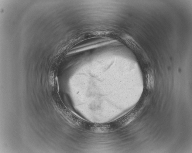 X0000053150368200508012316