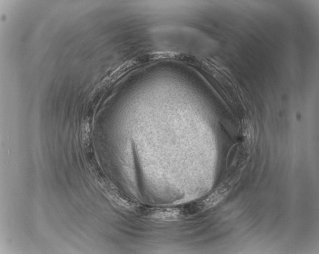 X0000053150369200508012316